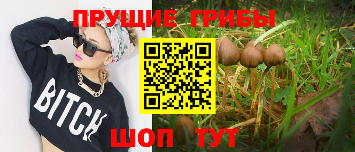 Галлюциногенные грибы мицелий  Вход с VPN  Псилоцибиновые грибы мухоморы  Златоуст 